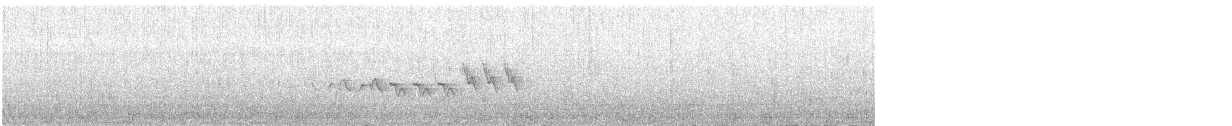 Белокрылая канделита - ML247137411