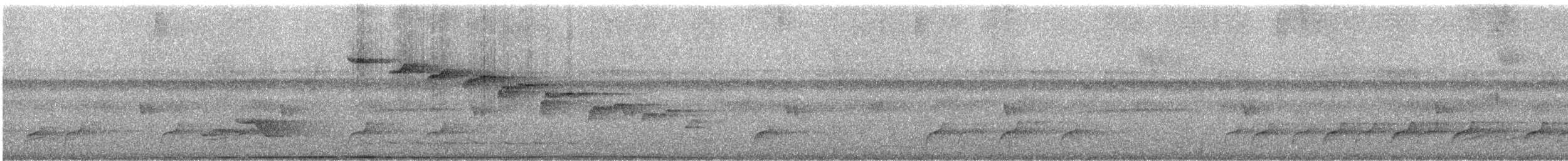 rødknoppkeiserdue (rufigula) - ML247141