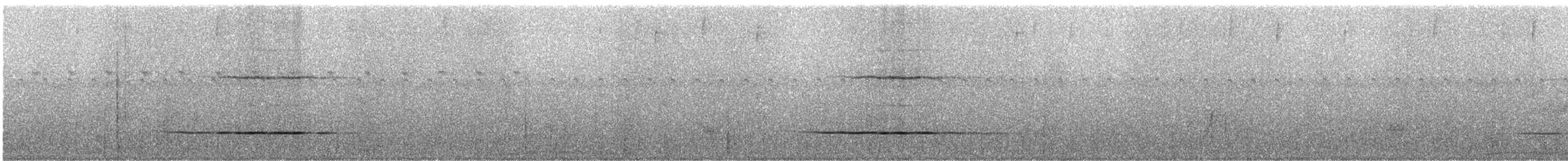 Сверкающий дронго (longirostris) - ML247146
