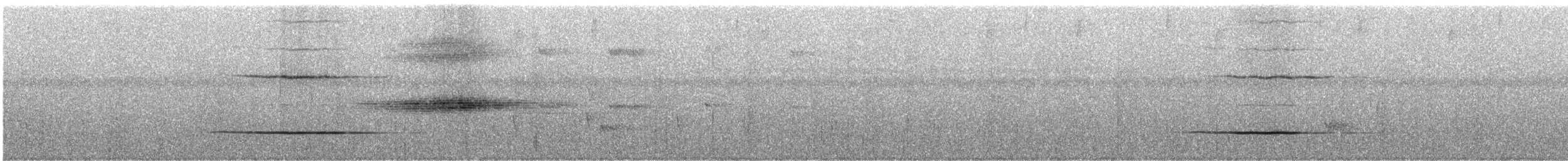 Glanzfleckdrongo (longirostris) - ML247148
