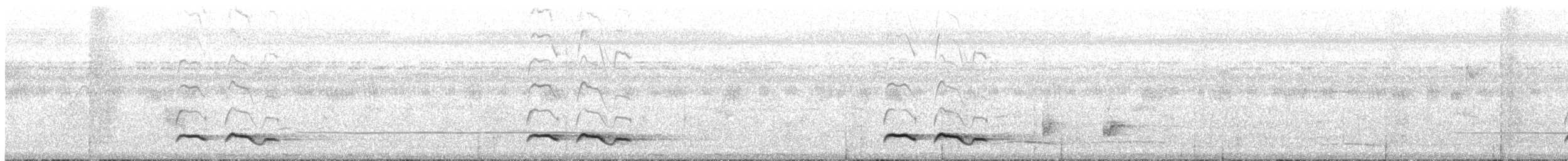 Зозуля білогорла - ML247161551