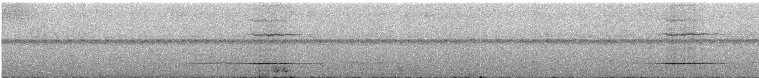 rødknoppkeiserdue (rufigula) - ML247162