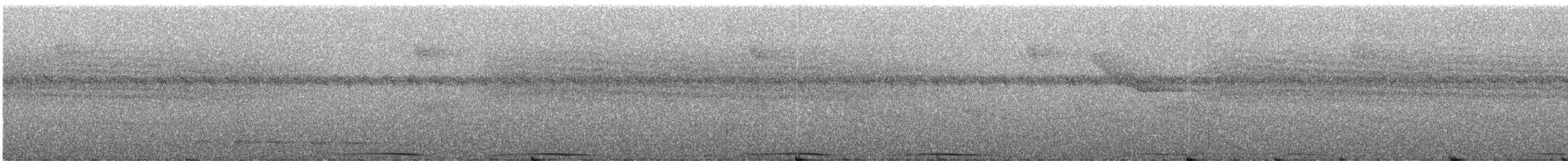 rødknoppkeiserdue (rufigula) - ML247168