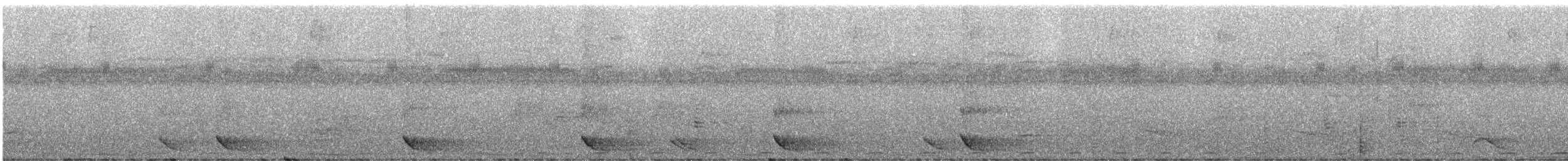 Méliphage de San Cristobal - ML247178