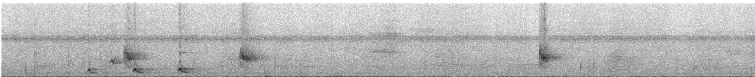 Méliphage de San Cristobal - ML247184