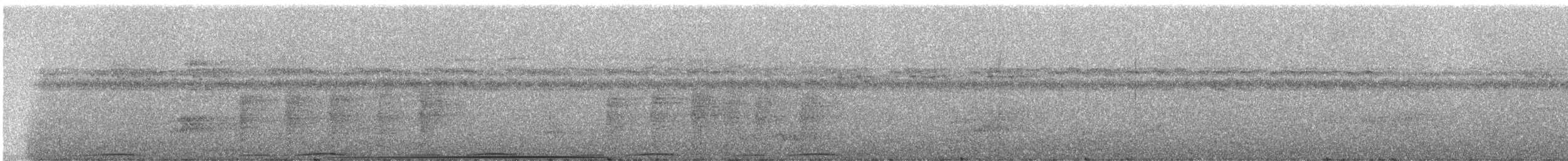 rødknoppkeiserdue (rufigula) - ML247196
