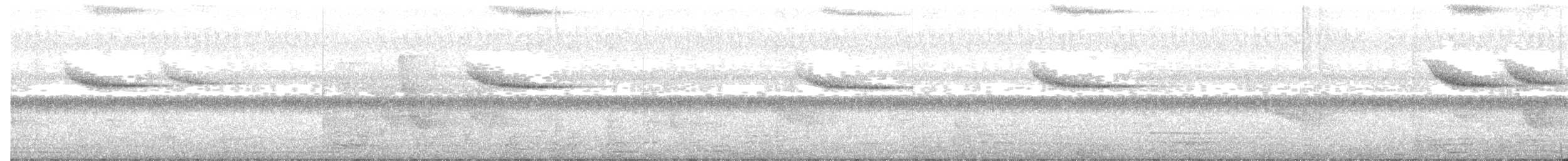 Arrenga siffleur - ML247200451