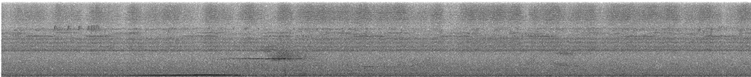 rødknoppkeiserdue (rufigula) - ML247222
