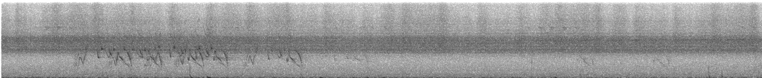 hvitbuklarveeter - ML247224