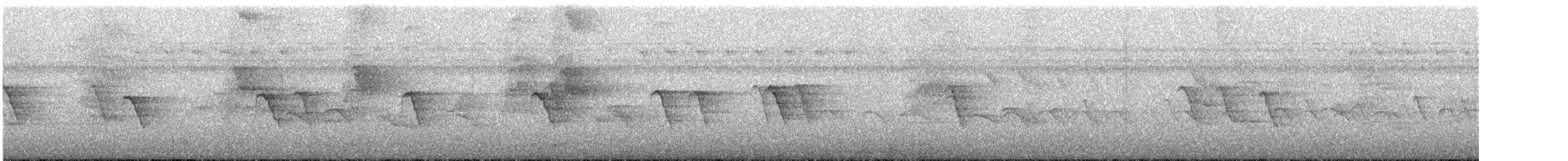 Окулярник ранонгійський - ML247236