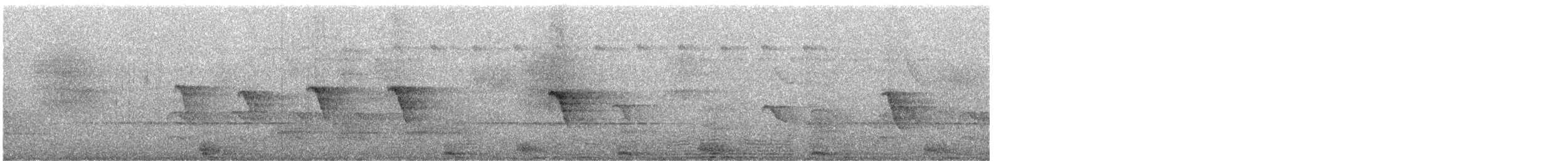 Cockerell Katmerkuyruğu (lavellae) - ML247246