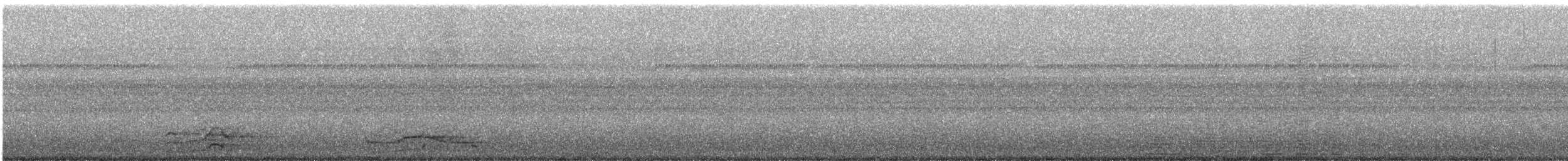 Mégapode mélanésien - ML247263