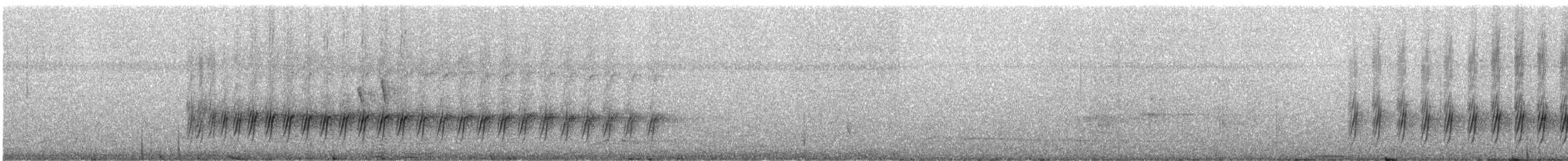 Échenilleur cigale (groupe erythropygium) - ML247279