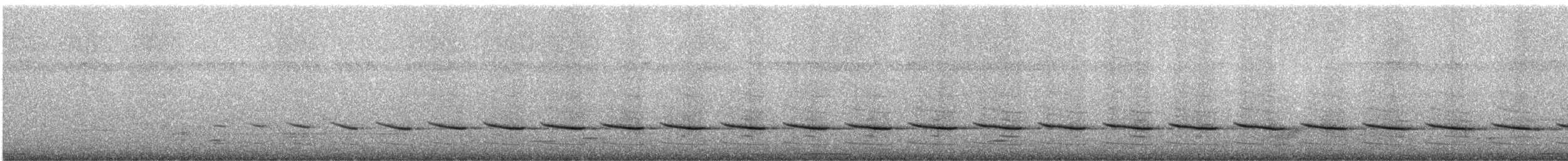 Тонкоклювый цикадник ([группа erythropygium] - ML247280