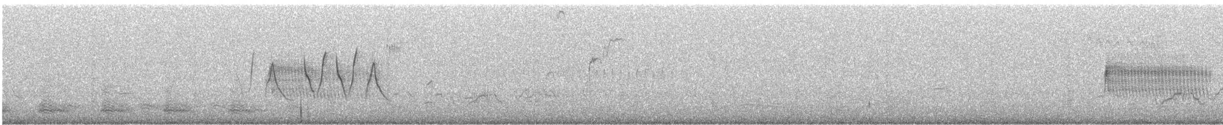Common Yellowthroat - ML247289901