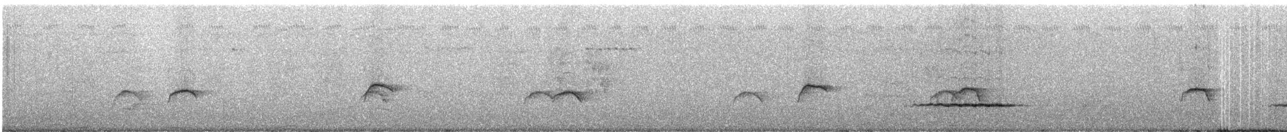 Окулярник соломонський - ML247294