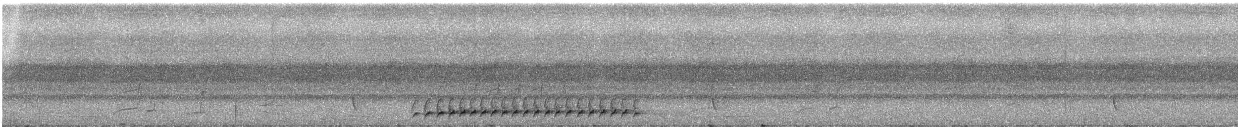 Méliphage bouffant - ML247311