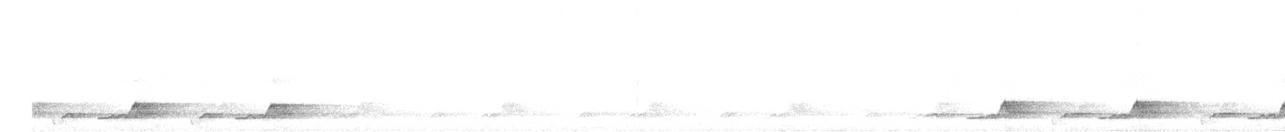 Schwarzkehl-Nachtschwalbe - ML247334181