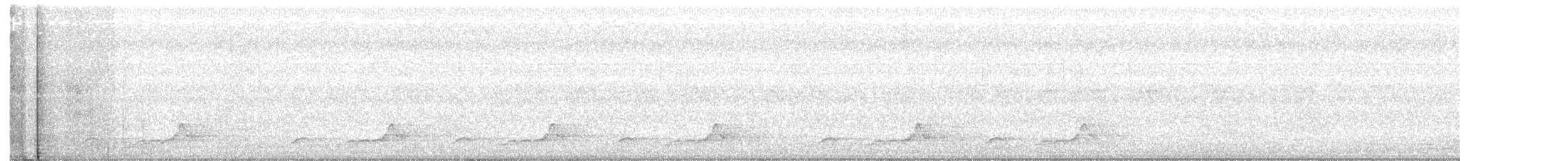 Schwarzkehl-Nachtschwalbe - ML247339941