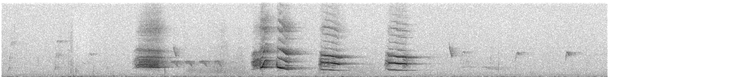 Méliphage de Belford - ML247342