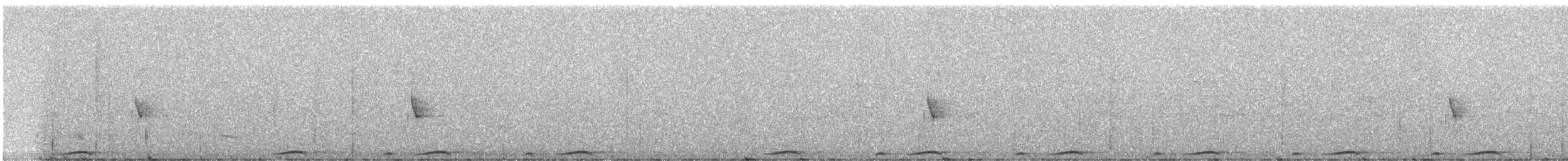 Каштановая длиннохвостая горлица - ML247345