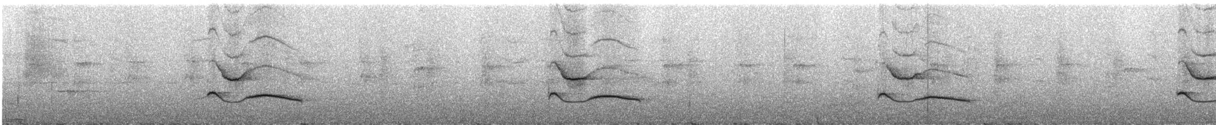 Méliphage strié - ML247348