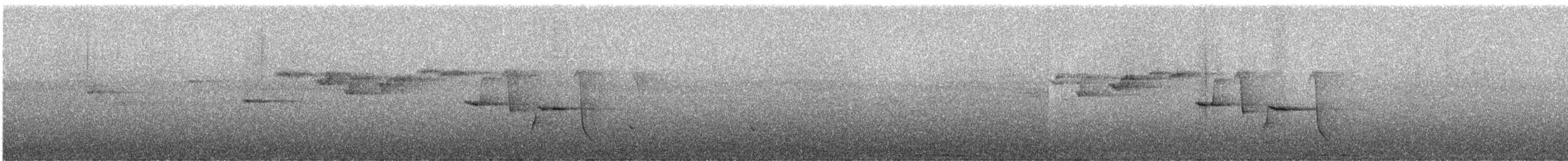 Slaty-chinned Longbill - ML247370