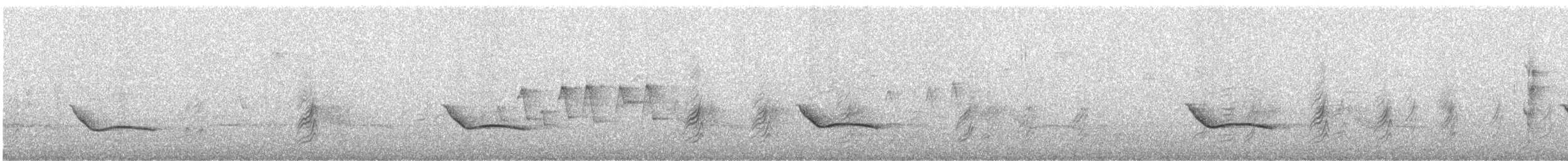 Gray-streaked Honeyeater - ML247380