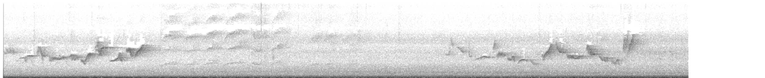 Eastern Warbling Vireo - ML247380551