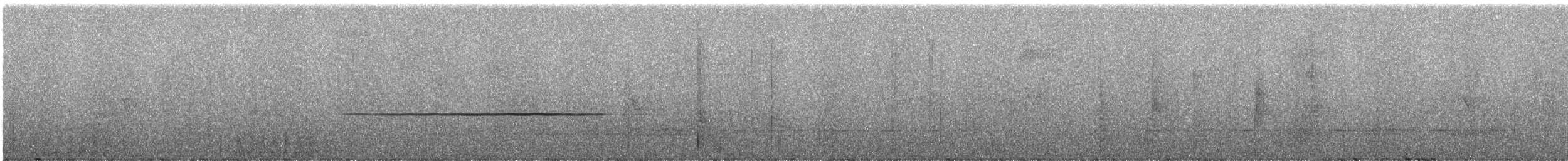 Spotted Jewel-babbler - ML247389
