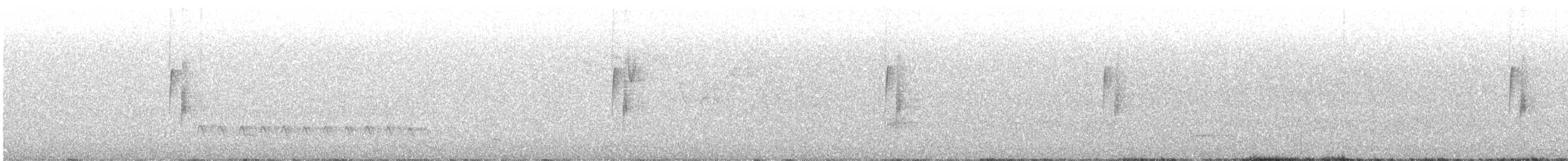 Least Flycatcher - ML247389581