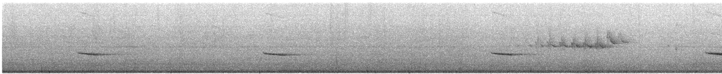 Дрізд-короткодзьоб плямистоволий - ML247394811
