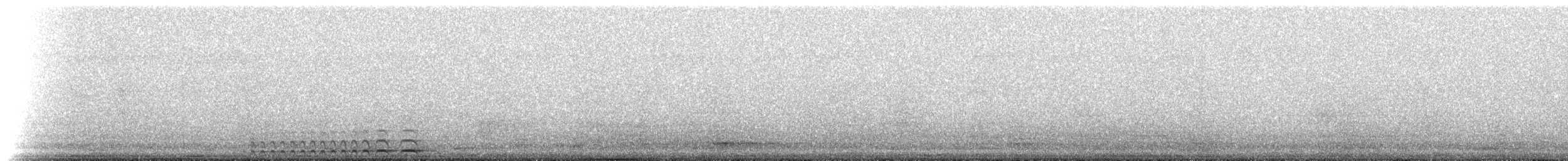Сплюшка неотропічна - ML247395221