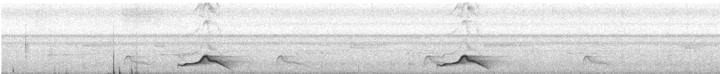 Pauraquenachtschwalbe - ML24740261