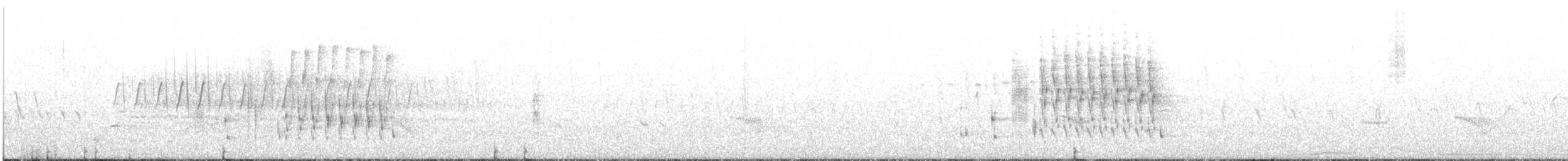 Troglodyte des marais - ML247406811