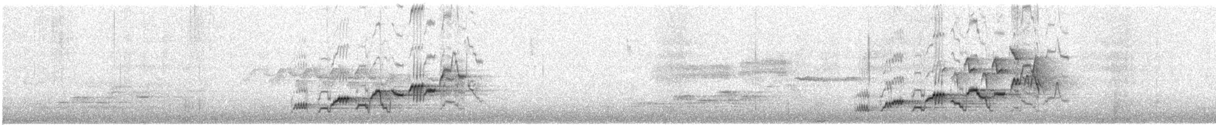 Дрізд-короткодзьоб Cвенсона - ML247407801