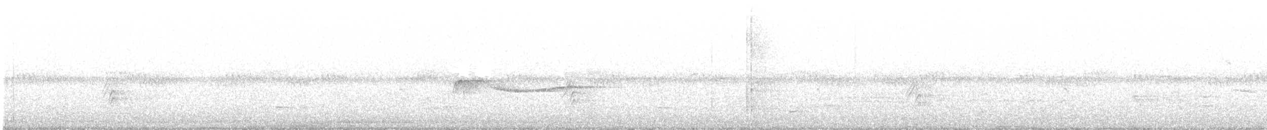 Eastern Wood-Pewee - ML247408361