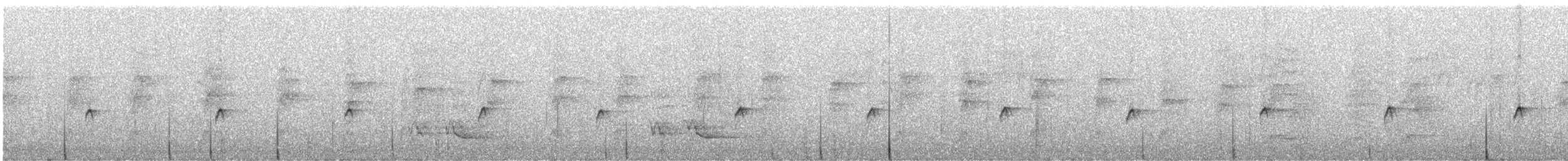 Gray-streaked Honeyeater - ML247411