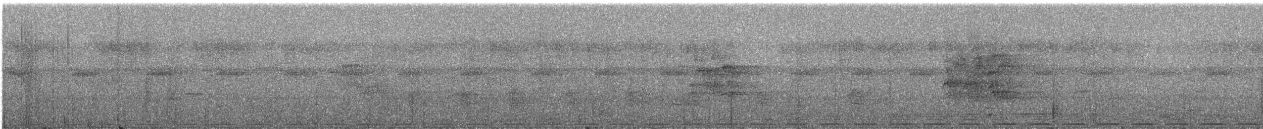 holub hnědohřbetý - ML247440