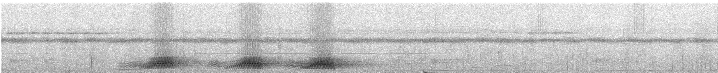 Папуанский веерокрыл - ML247445