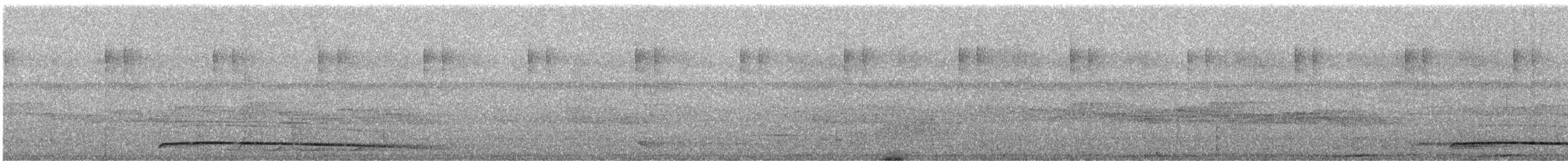 holub horský (ssp. cervicalis) - ML247447