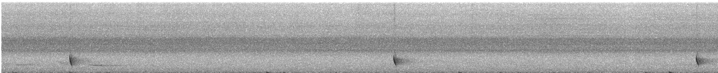 Аруанский медосос - ML247448