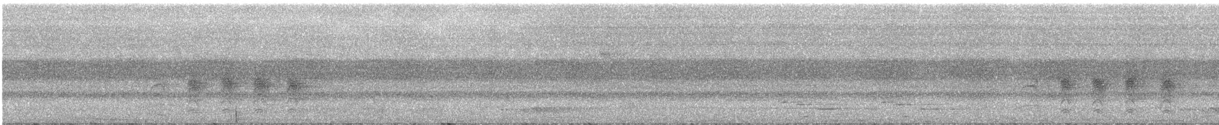 Белолицая дриада - ML247450