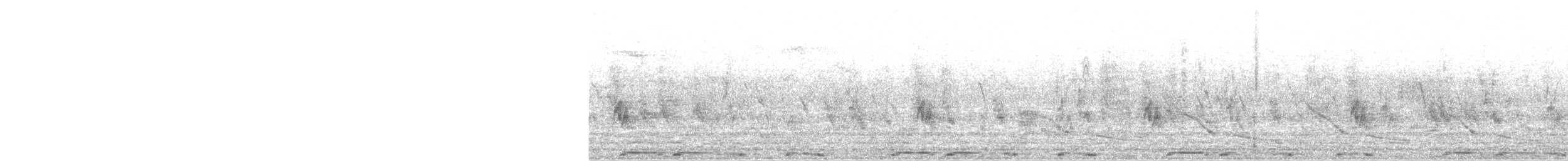 Eurasian Collared-Dove - ML247461391