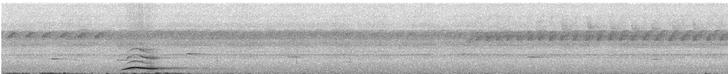 Trompeterparadieskrähe - ML247472