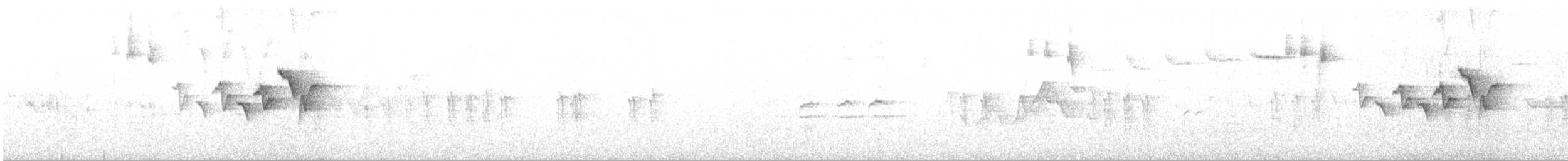 Piquituerto Aliblanco - ML247473471