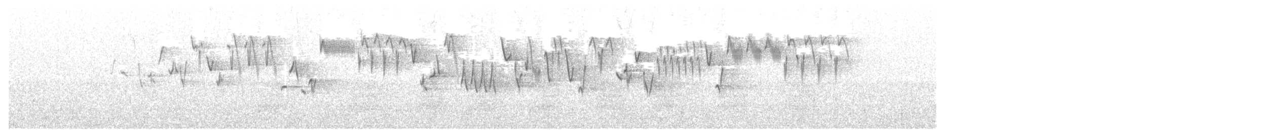 Troglodyte de Baird - ML247493141