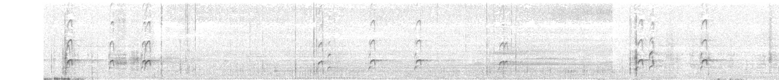 Black Oystercatcher - ML247493421