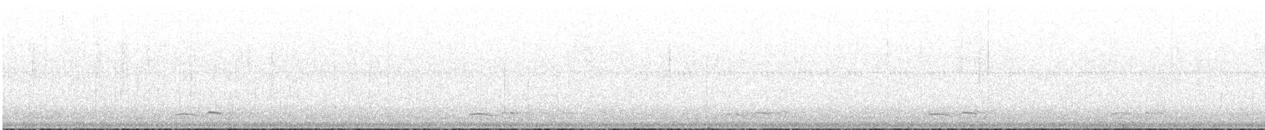 Winternachtschwalbe - ML247511501