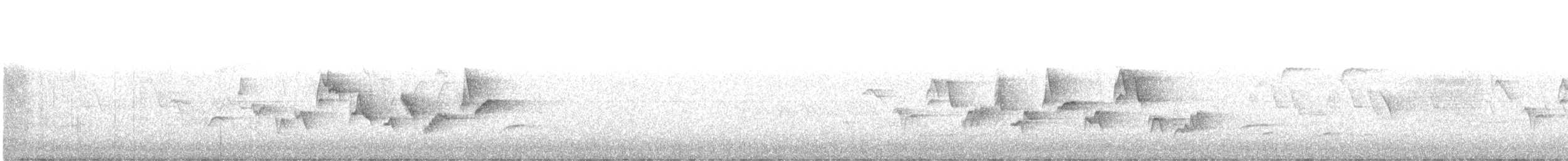 zelenáček švitořivý [skupina swainsoni] - ML247520181